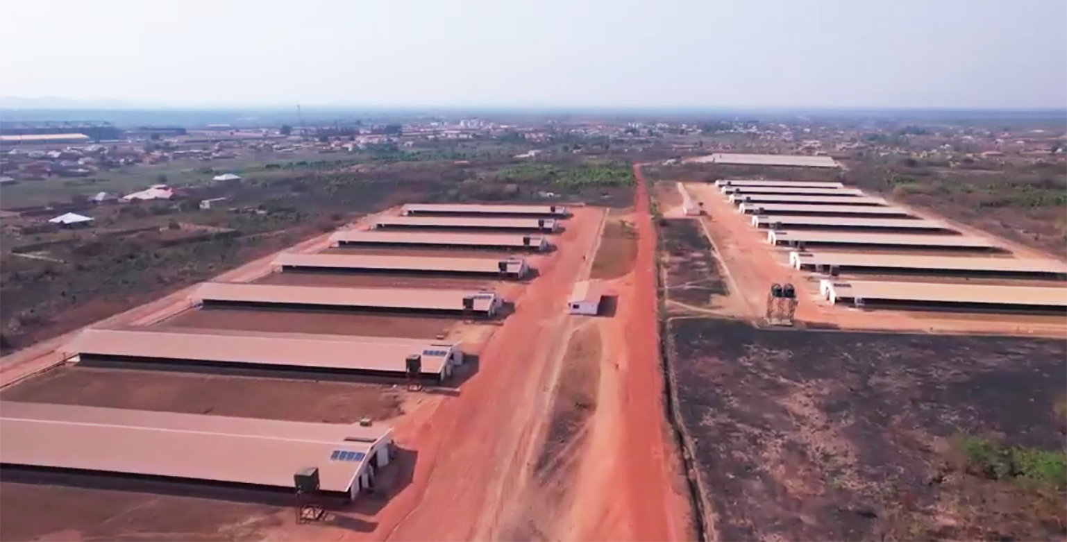 共创中非合作新标杆!Vinmart与智光电气签订3个非洲光储项目